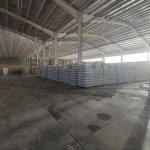 IMG_20240314_185433_332