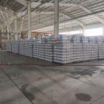 IMG_20240314_185434_232